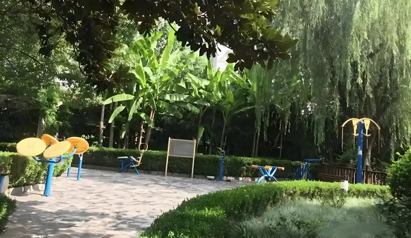 深圳怎样迁入户口_董璇前夫高云翔给天下男人狠狠上了一课 董璇前夫高儿子关悦怀抱